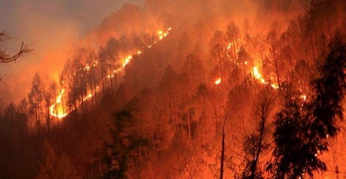 Forests burning in north of Turkey